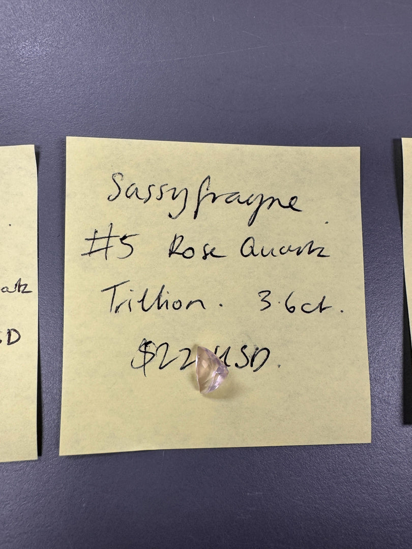sassyfrayne  01/03/25