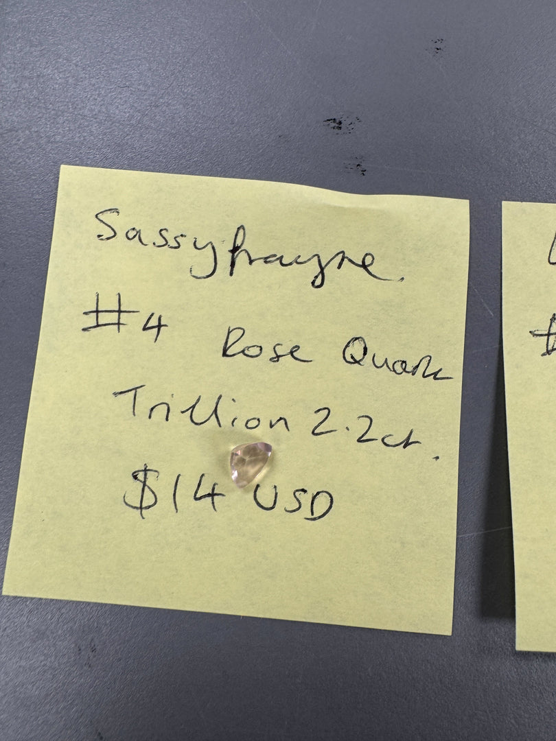 sassyfrayne  01/03/25